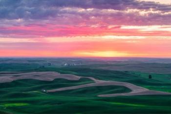 Palouse Sunset | Obraz na stenu