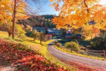 Sleepy Hollow Ranch, Vermont | Obraz na stenu
