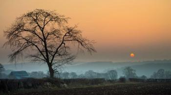 Morning Sun | Obraz na stenu