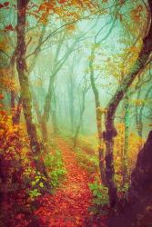 Fairytale Fall Pathway | Obraz na stenu