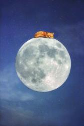 Fox Sleeping on Moon | Obraz na stenu
