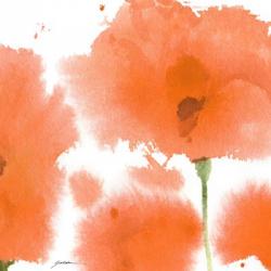 Red Orange Poppies | Obraz na stenu