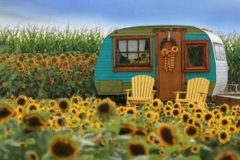 Vintage Camper and Sunflowers 2 | Obraz na stenu