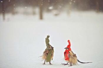 Weathered Feathered Friends | Obraz na stenu