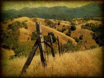 Weathered Ranch Fence | Obraz na stenu