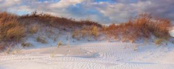 Dunes Light | Obraz na stenu