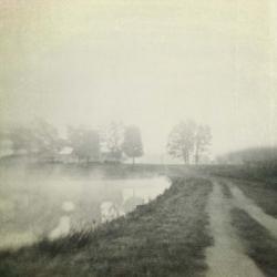Foggy Sunrise | Obraz na stenu