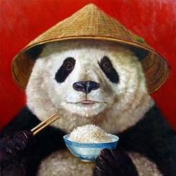 Panda | Obraz na stenu