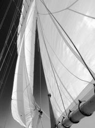 Sailboat Sails Florida | Obraz na stenu