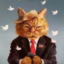 Catty Remarks | Obraz na stenu