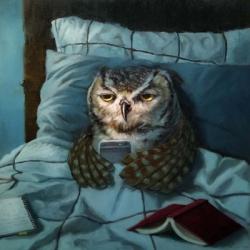 Night Owl | Obraz na stenu
