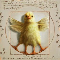 Vitruvian Chick | Obraz na stenu