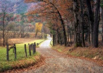 Autumn Drive I | Obraz na stenu