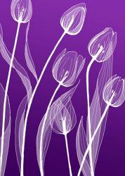 X-ray Flowers Purple | Obraz na stenu