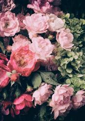 Floral 28 | Obraz na stenu