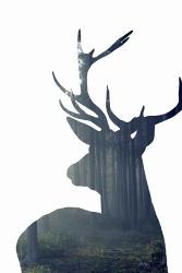 Forest Deer Silhouette | Obraz na stenu