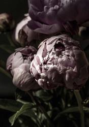 Flower 3 | Obraz na stenu