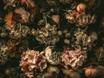Dark Floral Arrangement | Obraz na stenu