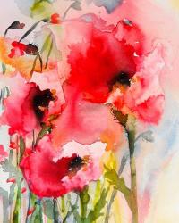 Summer Poppies | Obraz na stenu