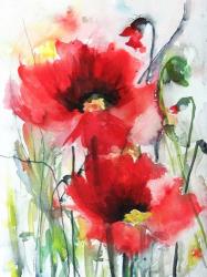 Red Poppies | Obraz na stenu