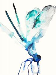 Blue & Green Dragonfly | Obraz na stenu