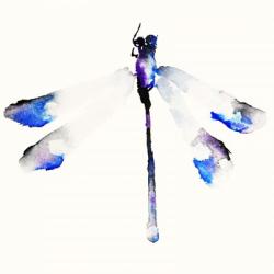 Blue & Violet Dragonfly | Obraz na stenu