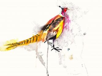 Pheasant | Obraz na stenu