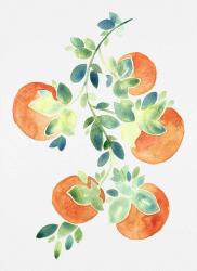 Watercolor Oranges | Obraz na stenu