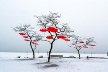 Red Umbrellas | Obraz na stenu