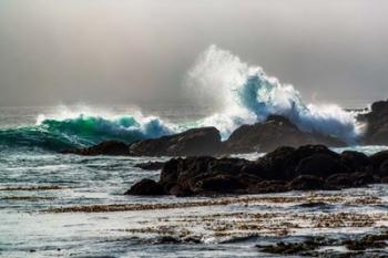 The Wave, Long Beach | Obraz na stenu