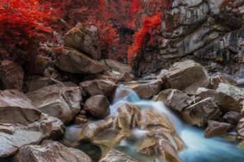 Othello Tunnels | Obraz na stenu