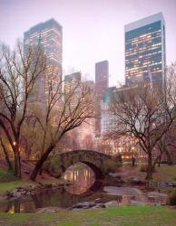 Central Park, NYC | Obraz na stenu