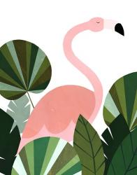 Florence The Flamingo | Obraz na stenu
