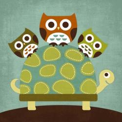 Three Owls on Turtle | Obraz na stenu