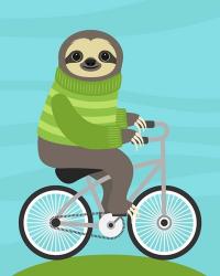 Cycling Sloth | Obraz na stenu