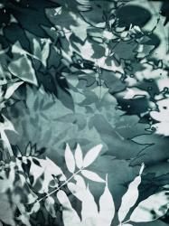 Abstract Leaves | Obraz na stenu