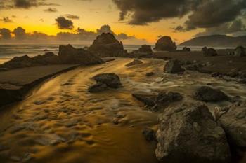Back To The Sea | Obraz na stenu
