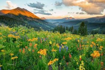 Wash Gulch Wild | Obraz na stenu