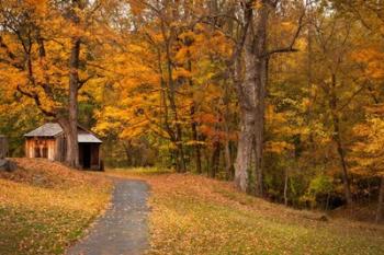 Autumn Home | Obraz na stenu