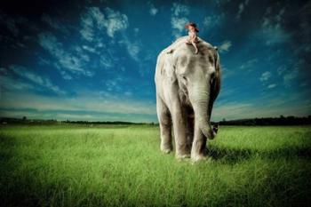 Elephant Carry Me | Obraz na stenu