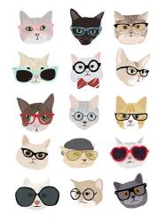 Cats with Glasses | Obraz na stenu