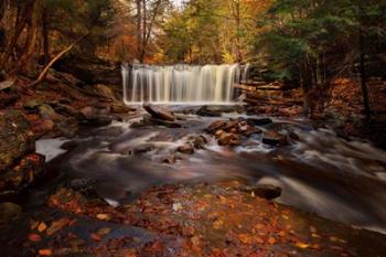 Rushing Water | Obraz na stenu