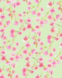 Cherry Blossom Green | Obraz na stenu