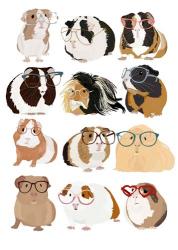 Guinea Pigs In Glasses | Obraz na stenu