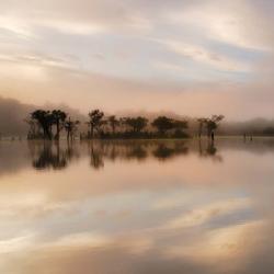 Dawn Mist on the Amazon | Obraz na stenu