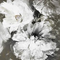 White and Gray Flowers | Obraz na stenu