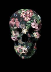 Tropic Skull | Obraz na stenu