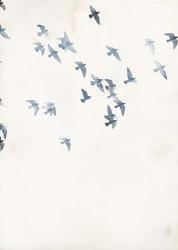 Pigeons Sky | Obraz na stenu