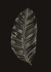 Black Leaf | Obraz na stenu