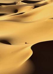 In the Dunes 1 | Obraz na stenu